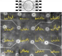 Automated Formation of Lipid Membrane Microarrays for Ionic Single-Molecule Sensing with Protein Nanopores