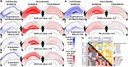 Somatostatin-Expressing Interneurons Form Axonal Projections to the Contralateral Hippocampus