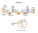 Ionotropic AMPA-type glutamate and metabotropic GABAB receptors: determining cellular physiology by proteomes