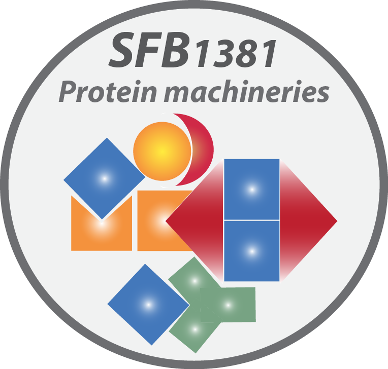 Logo SFB 1381.jpg