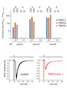 Heteromeric channels formed by TRPC1, TRPC4 and TRPC5 define hippocampal synaptic transmission and working memory